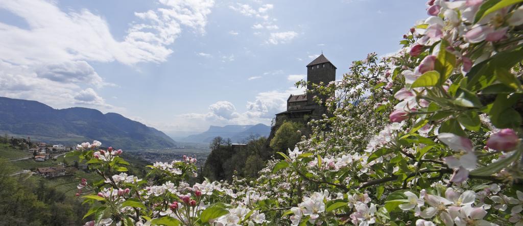 Hotel Zum Tiroler Adler エクステリア 写真