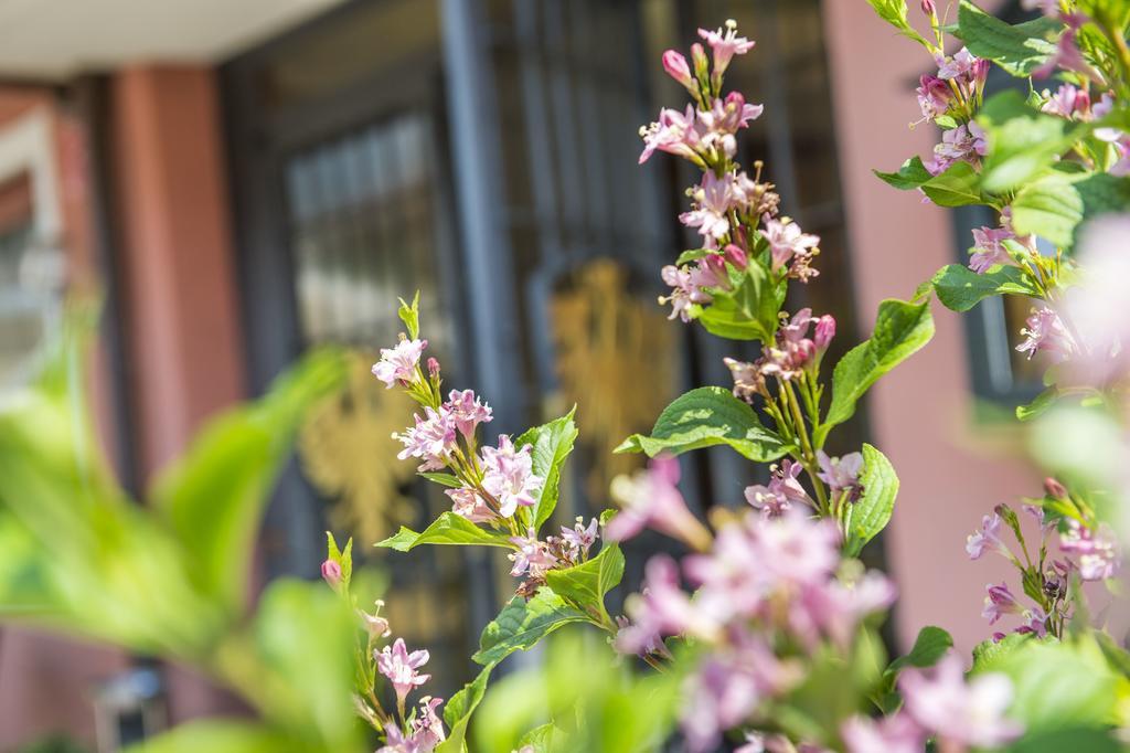 Hotel Zum Tiroler Adler エクステリア 写真